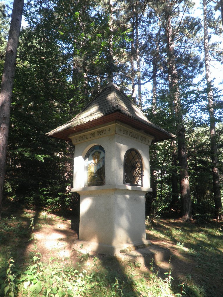 P8070014.JPG