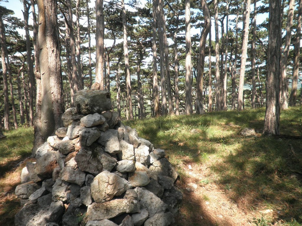 P8070041.JPG