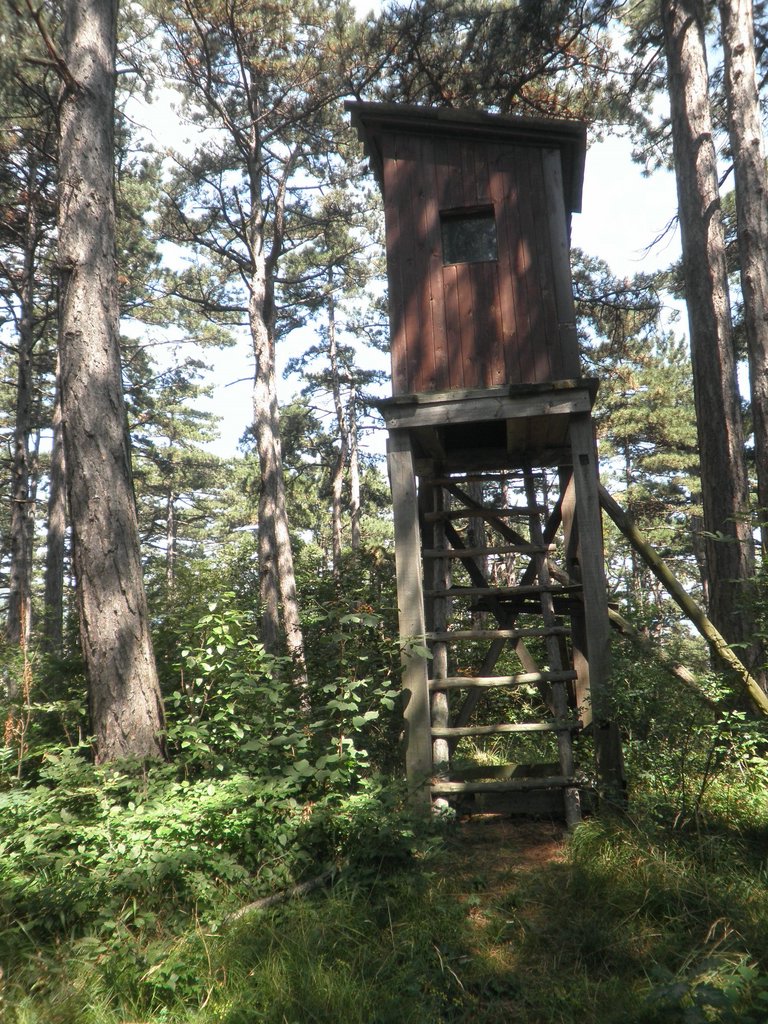 P8070043.JPG