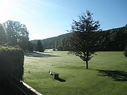 P8070007.JPG