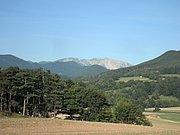 P8070011.JPG