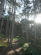 P8070012.JPG