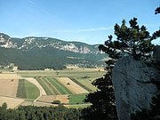P8070020.JPG
