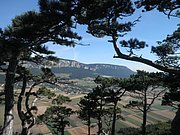 P8070027.JPG