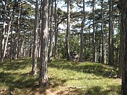 P8070040.JPG