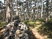 P8070041.JPG