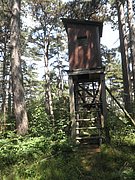 P8070043.JPG