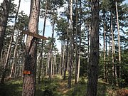 P8070044.JPG