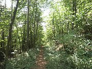 P8070049.JPG