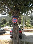 P8070050.JPG