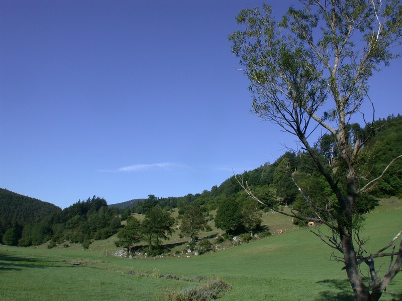 DSCN3535.JPG