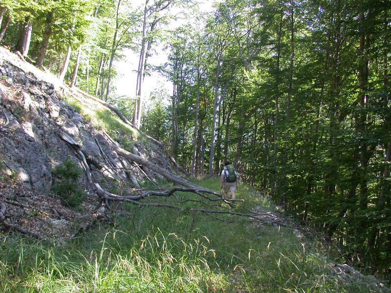 DSCN3542.JPG