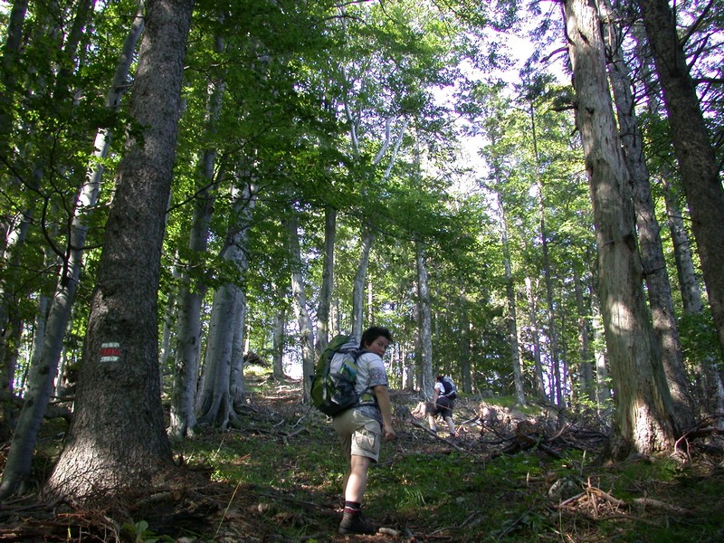 DSCN3544.JPG