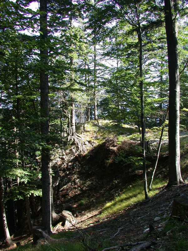 DSCN3545.JPG