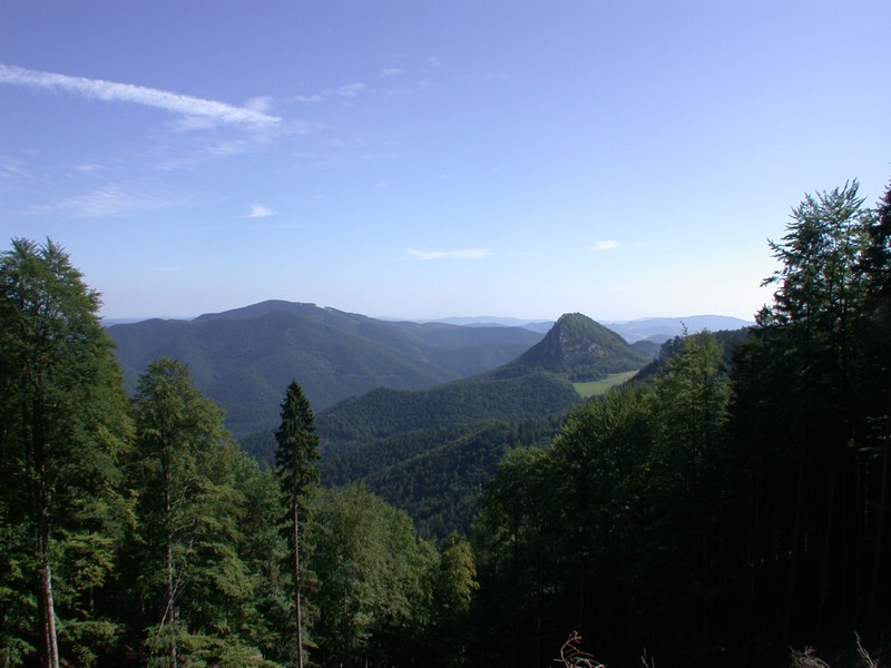 DSCN3550.JPG
