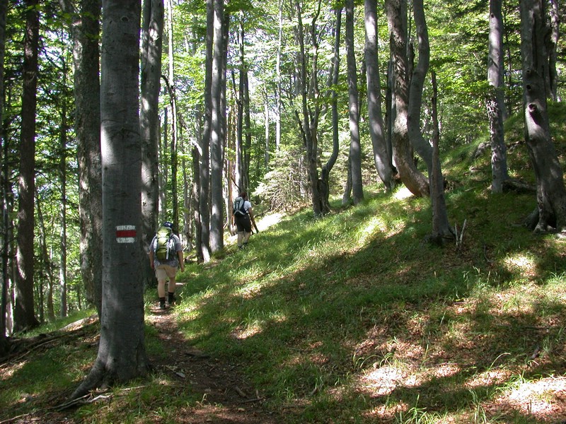 DSCN3554.JPG