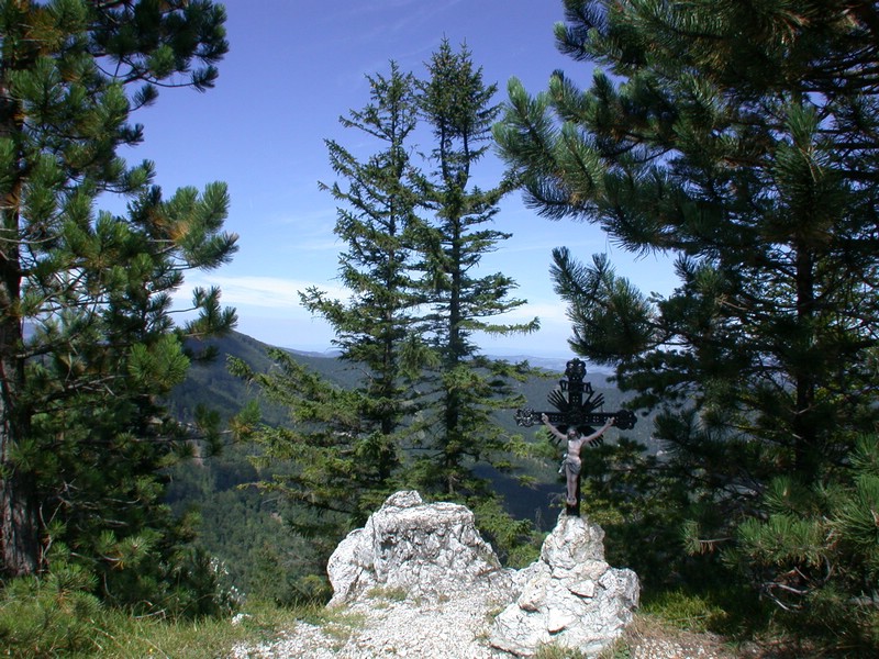 DSCN3556.JPG