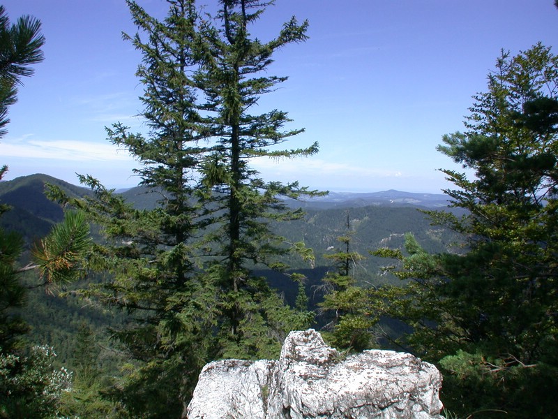 DSCN3558.JPG