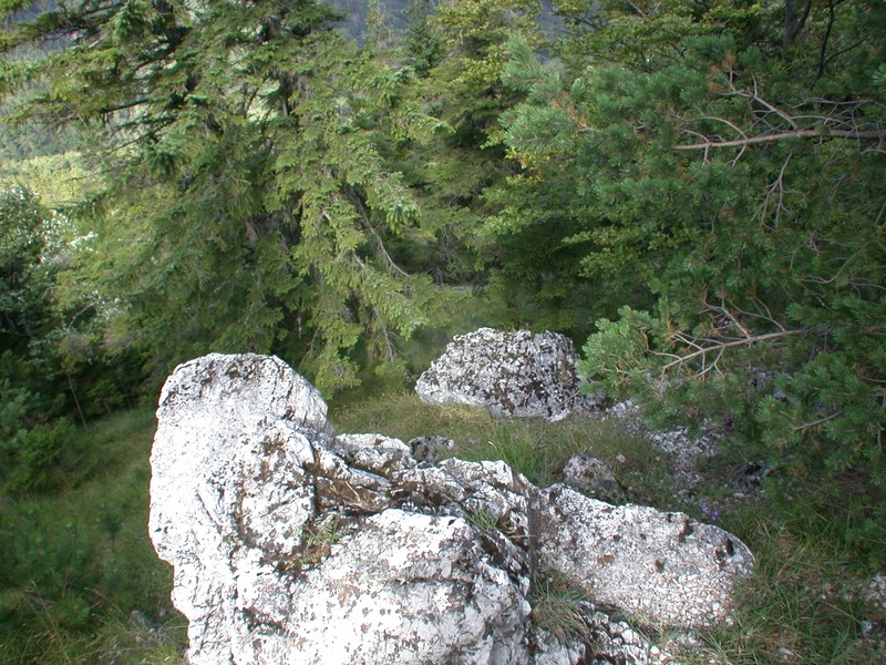 DSCN3560.JPG