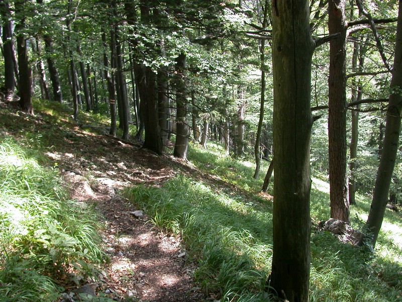 DSCN3564.JPG