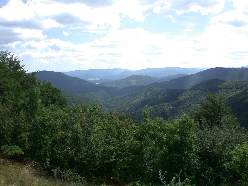 DSCN3567.JPG