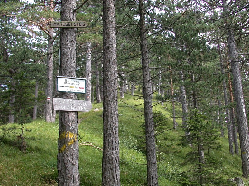 DSCN3572.JPG