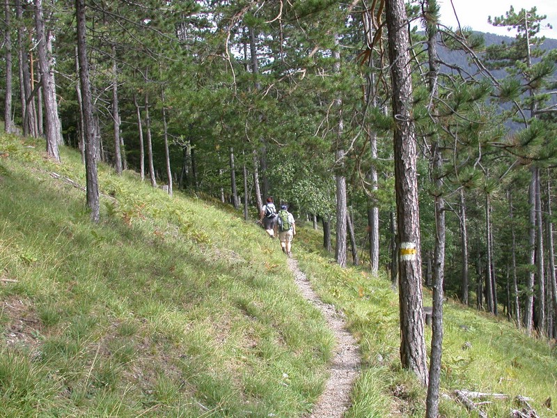 DSCN3573.JPG