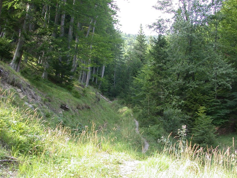 DSCN3575.JPG