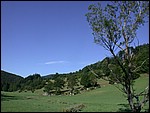 DSCN3535.JPG