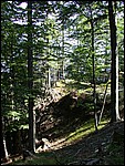 DSCN3545.JPG