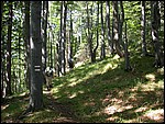 DSCN3554.JPG