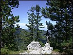 DSCN3556.JPG
