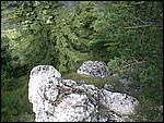 DSCN3560.JPG