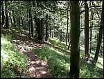 DSCN3564.JPG