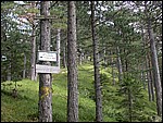 DSCN3572.JPG