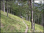 DSCN3573.JPG
