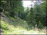 DSCN3575.JPG