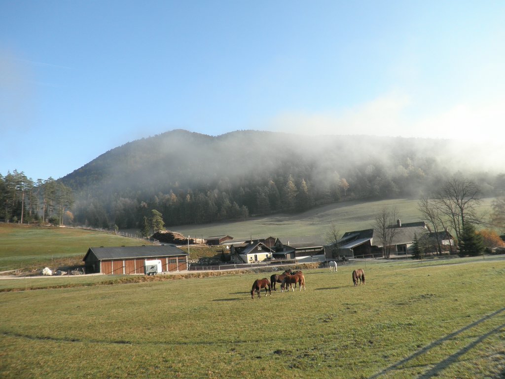PB010001.JPG