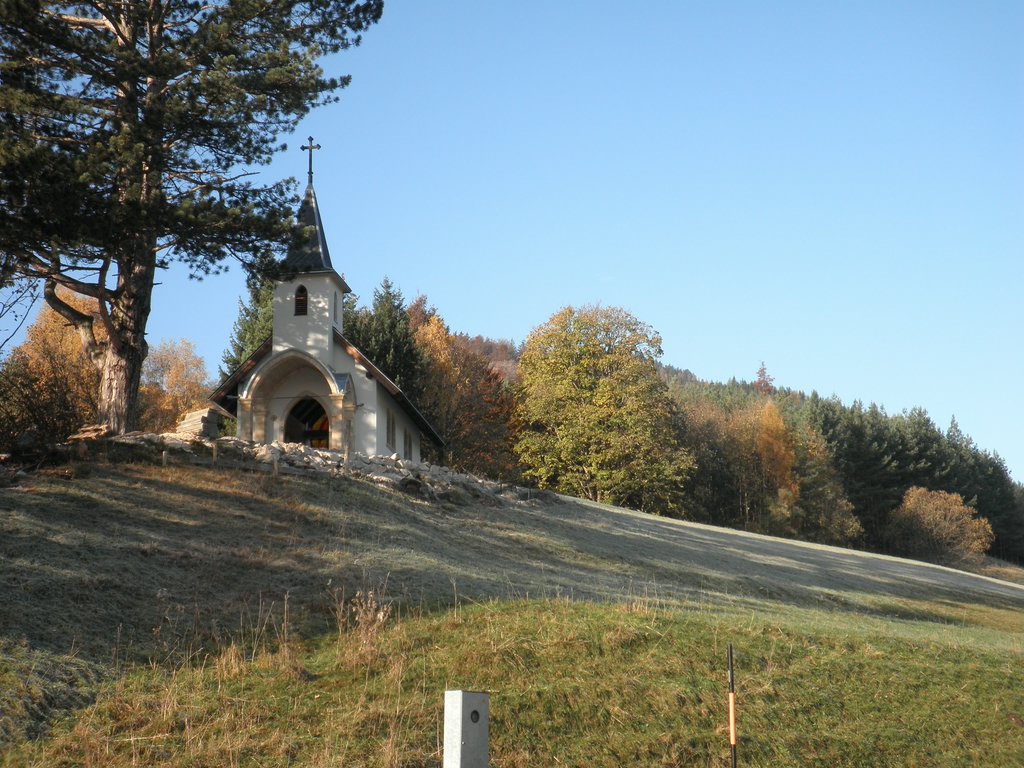 PB010002.JPG