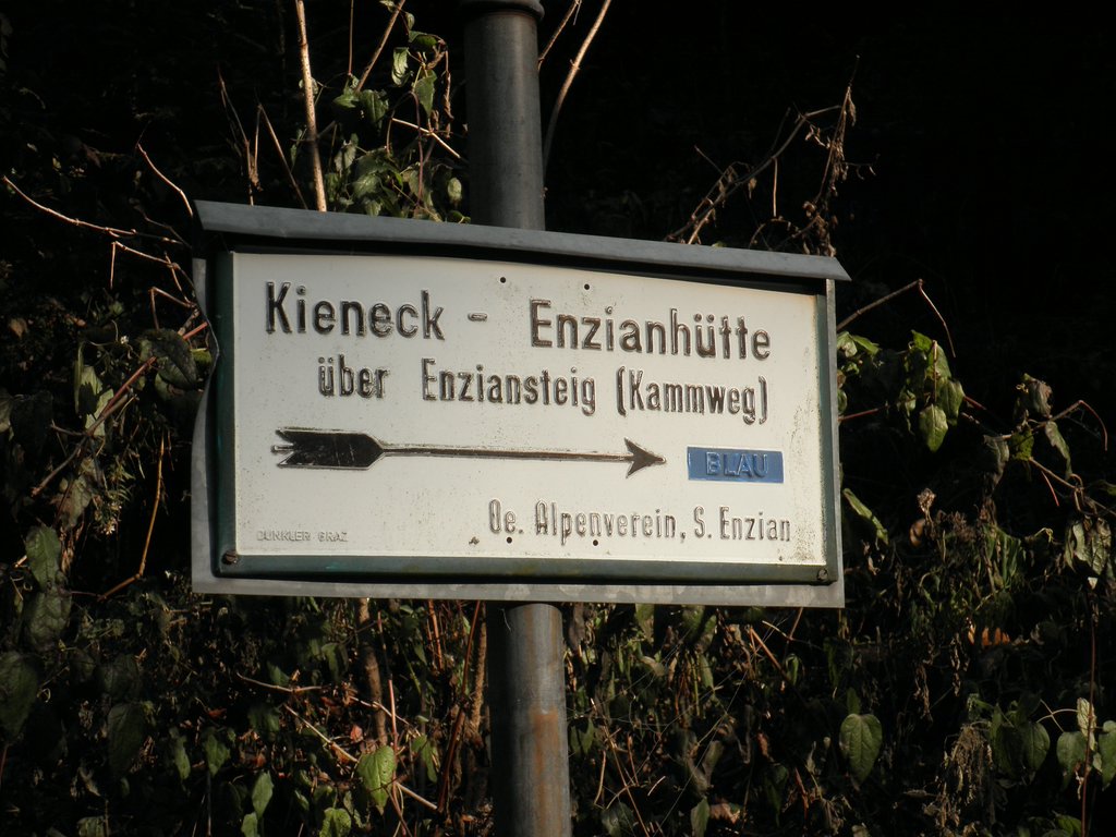 PB010005.JPG