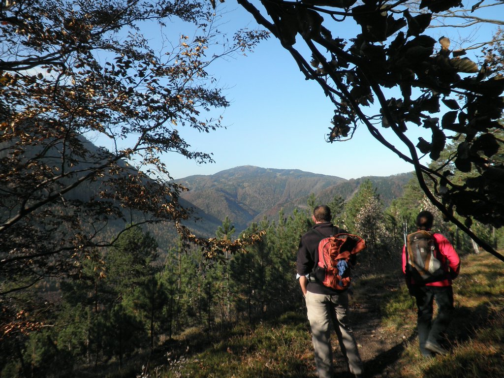 PB010010.JPG