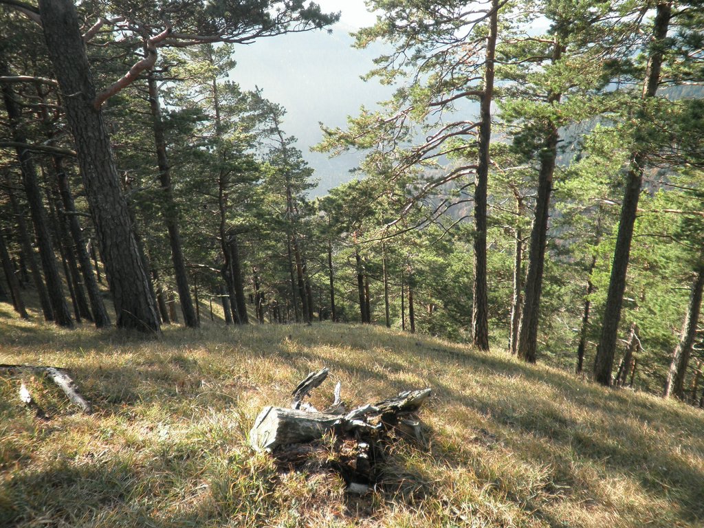 PB010019.JPG