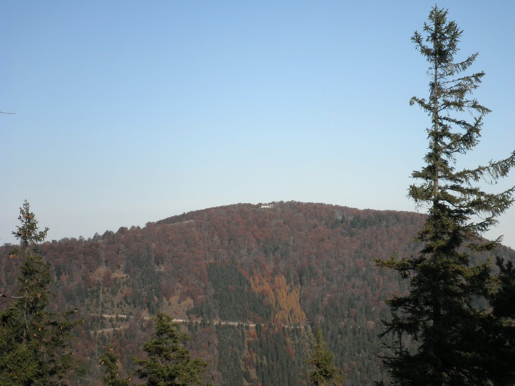 PB010021.JPG