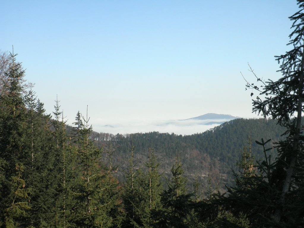 PB010022.JPG