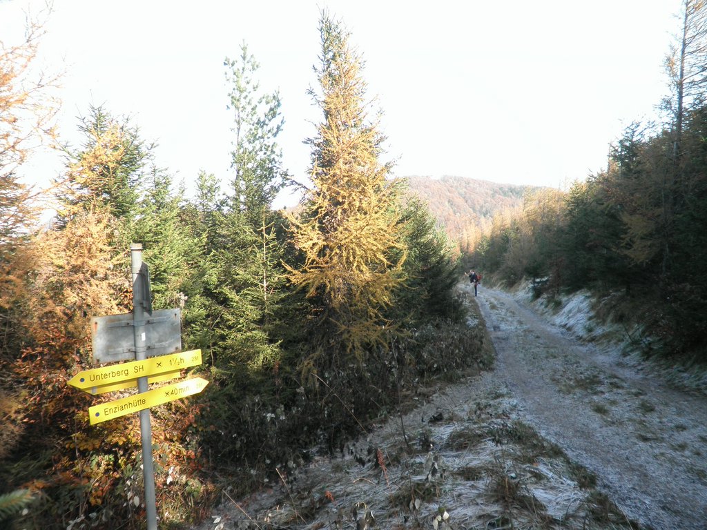 PB010027.JPG