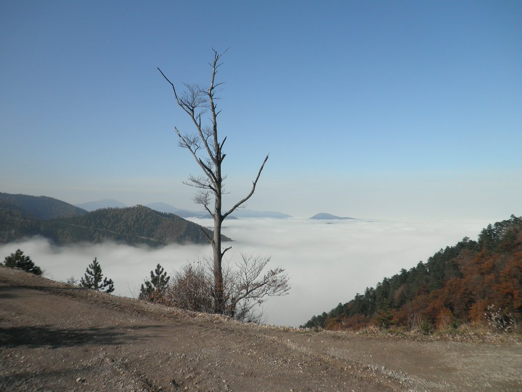 PB010031.JPG