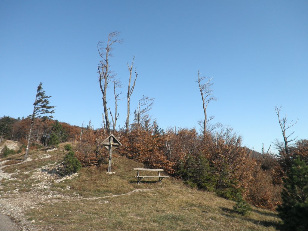 PB010032.JPG