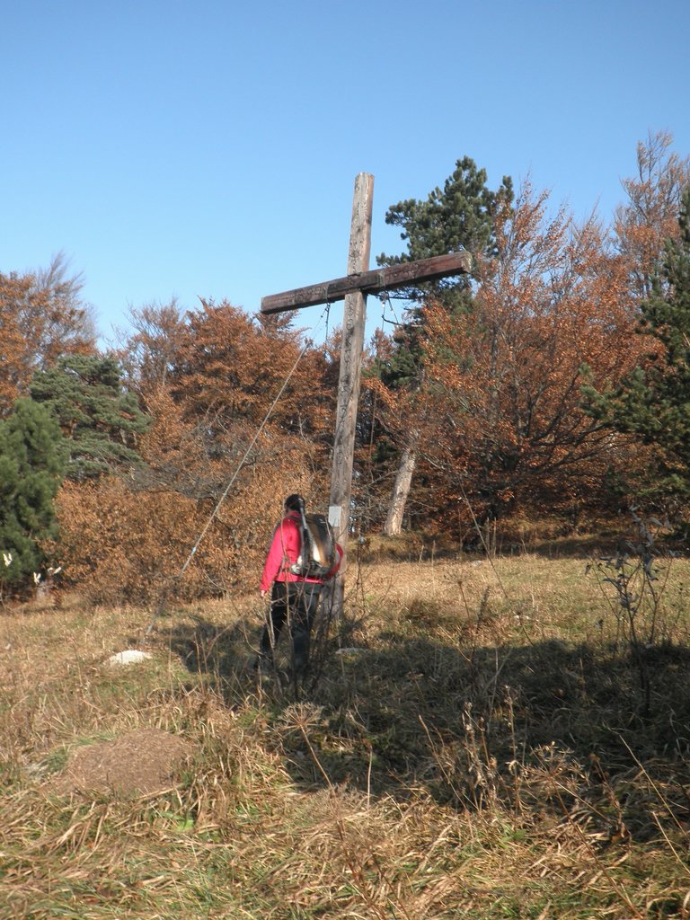 PB010035.JPG