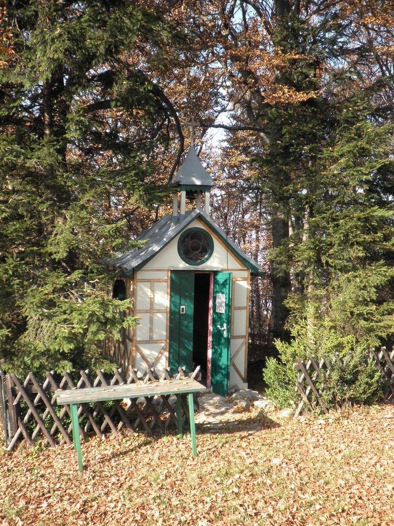PB010039.JPG