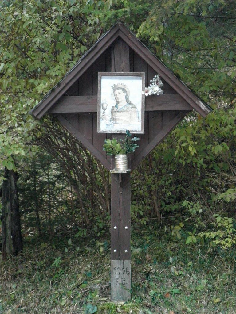 PB010059.JPG